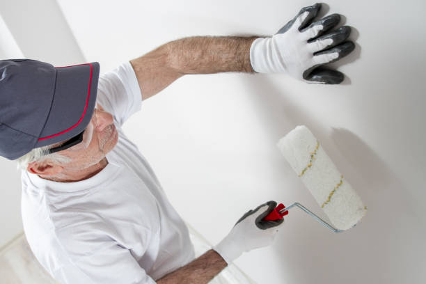 Best Mold Odor Removal Services  in Loyal, WI