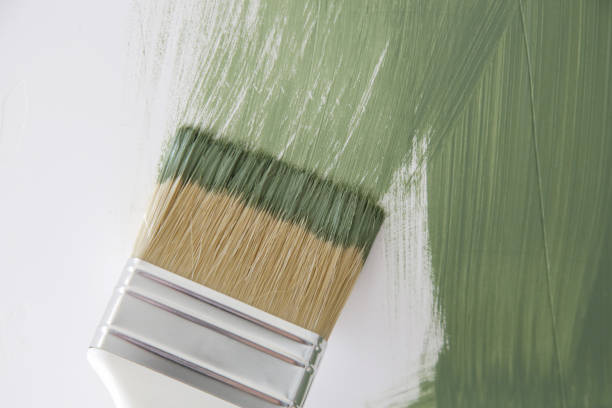 Professional Mold Removal in Loyal, WI