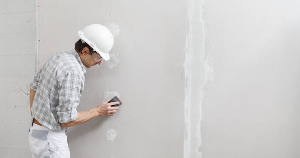 Best Dehumidification Services  in Loyal, WI