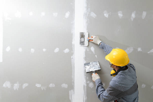 Mold Remediation for Vacation Homes in Loyal, WI