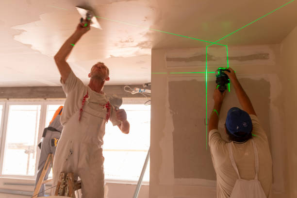 Best Commercial Mold Inspection  in Loyal, WI