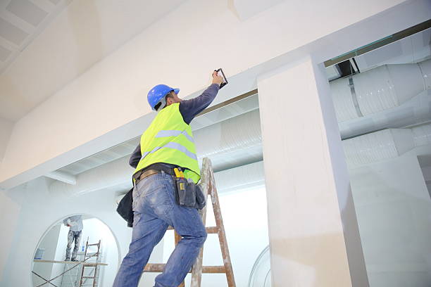 Best Emergency Mold Remediation  in Loyal, WI