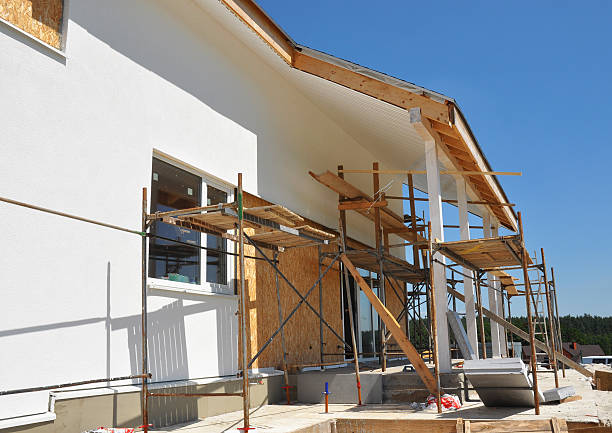  Loyal, WI Mold Removal Pros