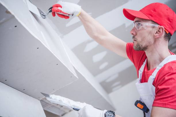 Best Asbestos and Lead Testing During Mold Inspection  in Loyal, WI
